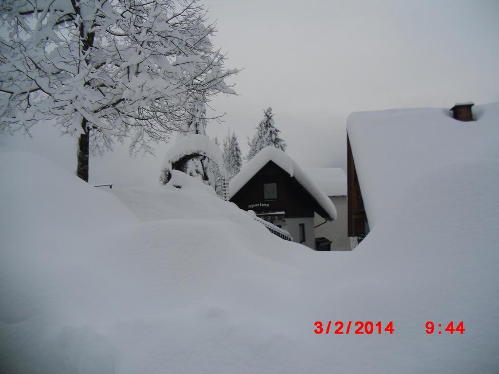 Holiday Home Pri Srni Bohinj Room photo